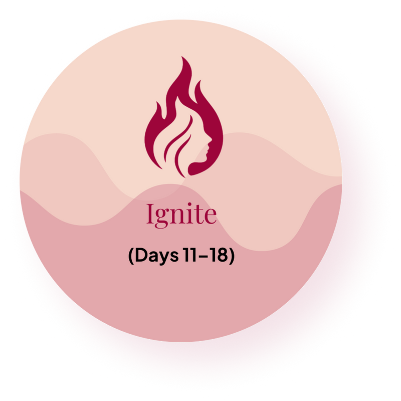 How Ignite fits the complete ritual